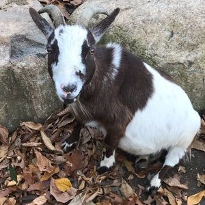 Meet your Posher, Megan